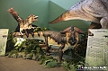 VBS_1064 - Dinosauri. Terra dei giganti